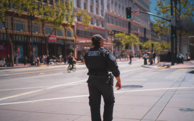 Why Shopping Centers Need Extra Security Coverage During Summer Sales and Tourist Season